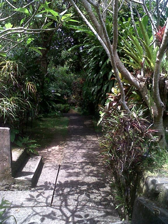 Arjana Bungalows 2 Ubud Dış mekan fotoğraf